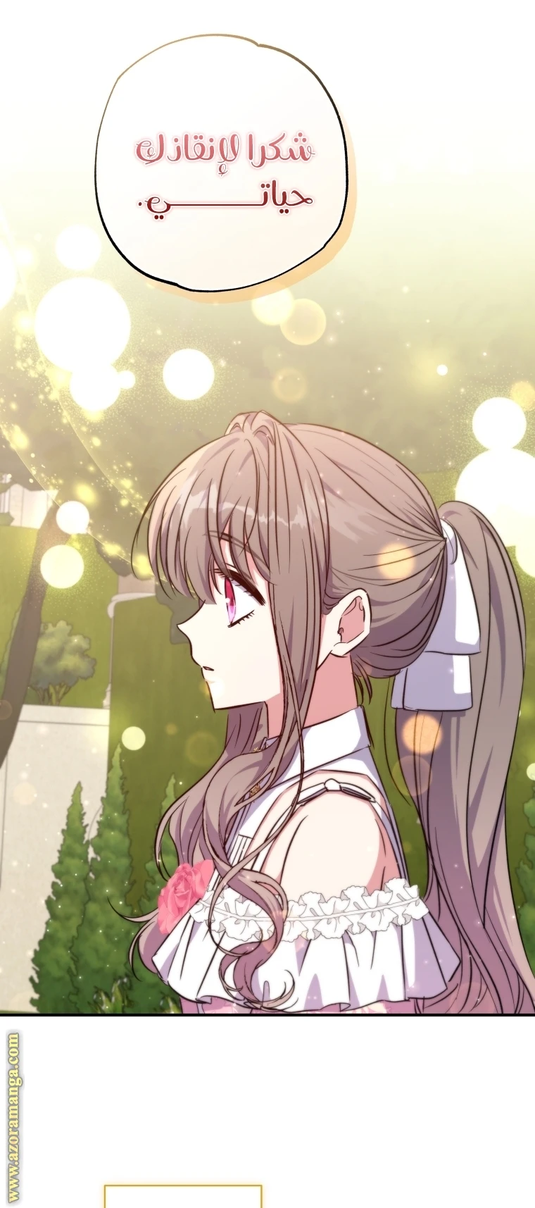 الصفحة 46