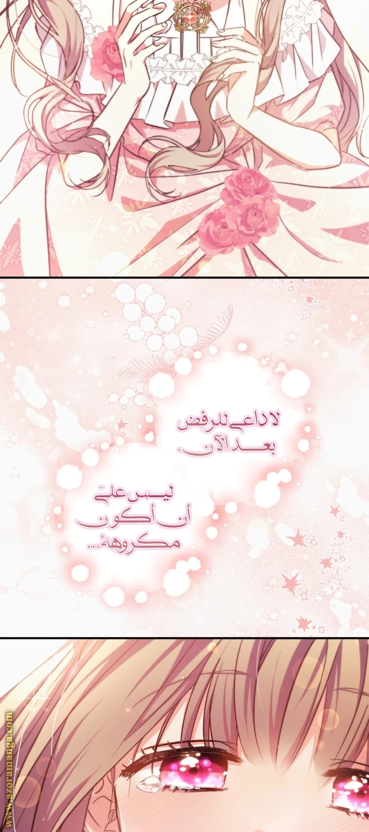 الصفحة 53