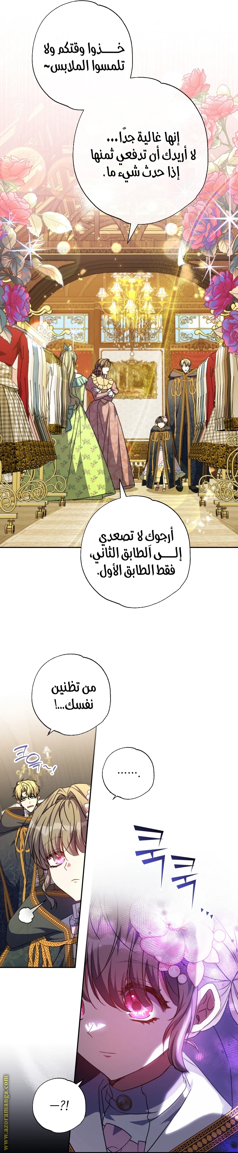 الصفحة 17