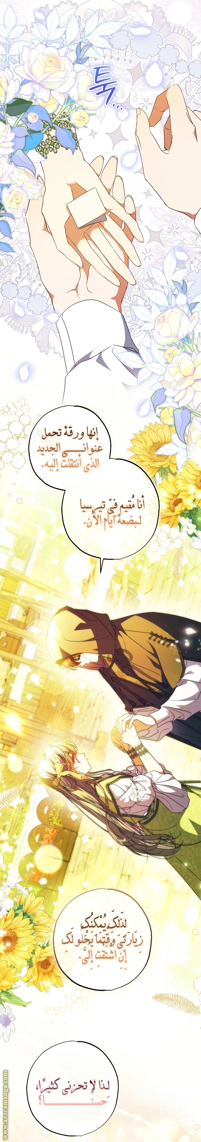 الصفحة 13