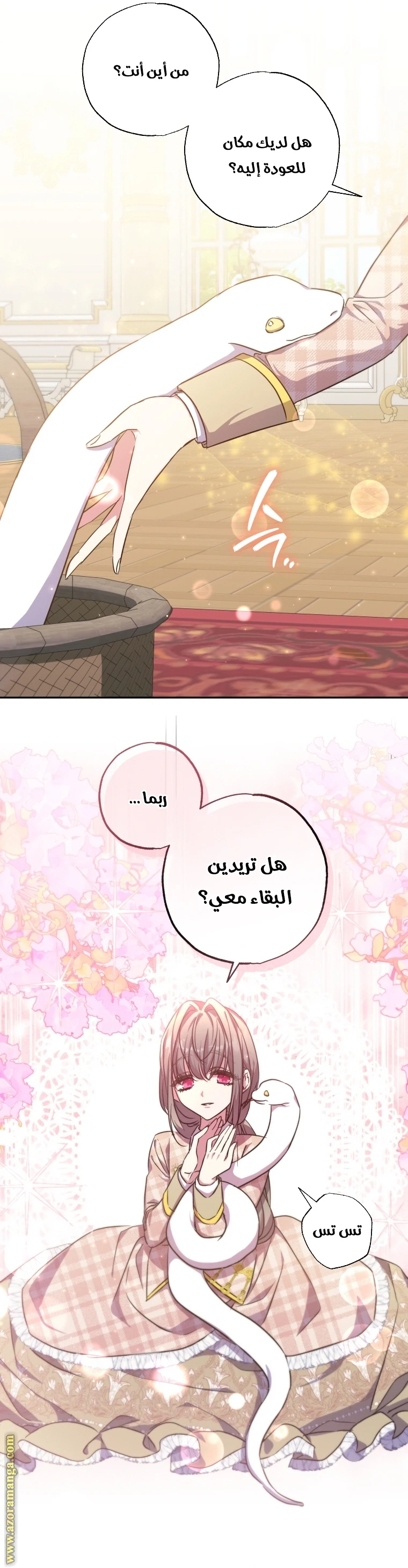 الصفحة 15