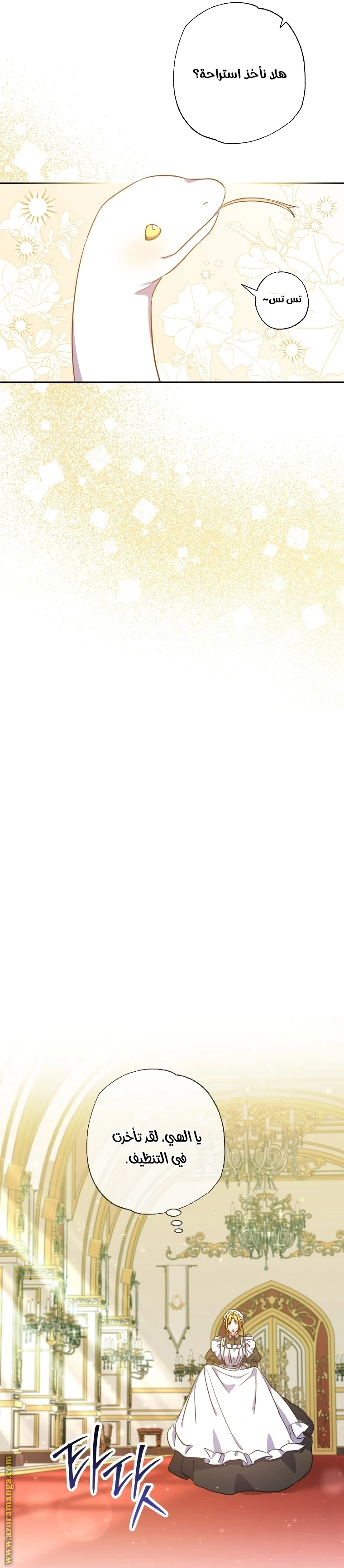 الصفحة 19