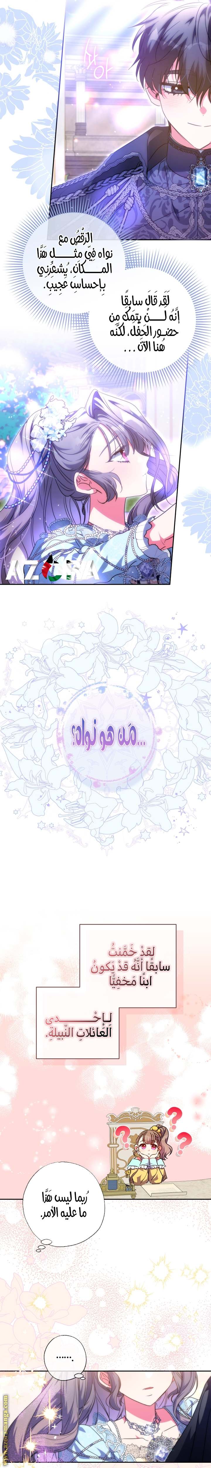 الصفحة 13