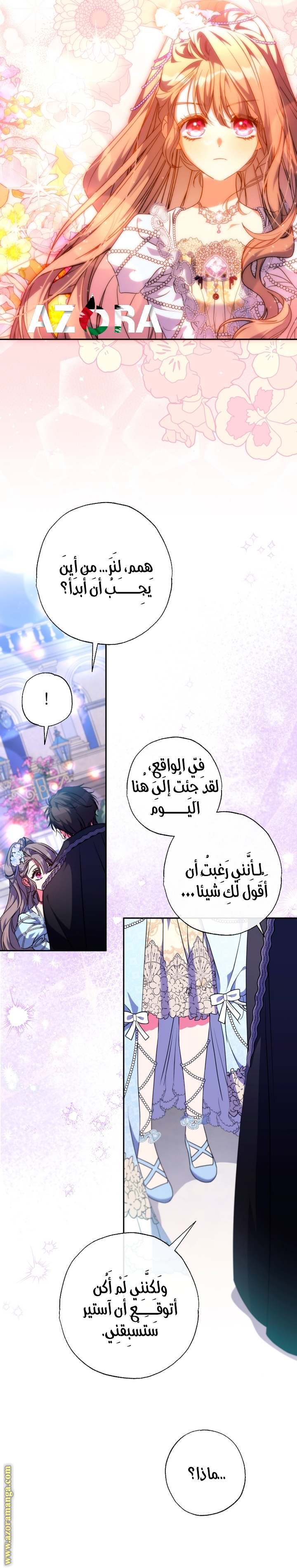 الصفحة 17