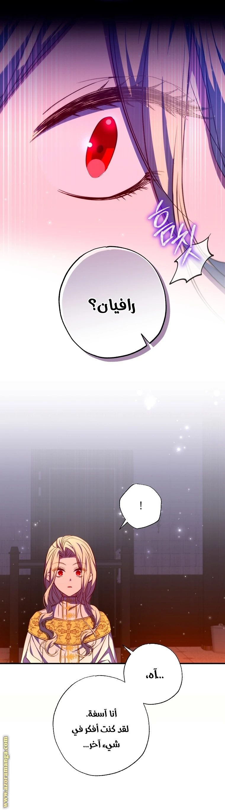الصفحة 17