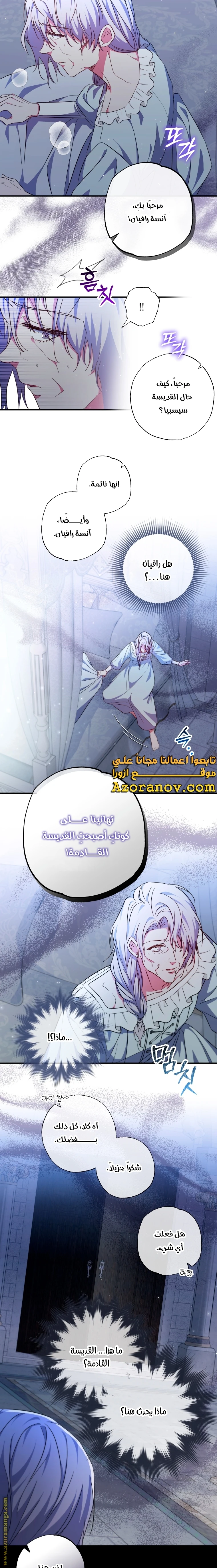 الصفحة 13