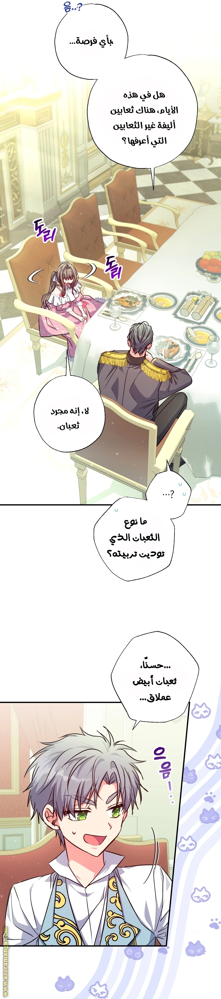 الصفحة 17