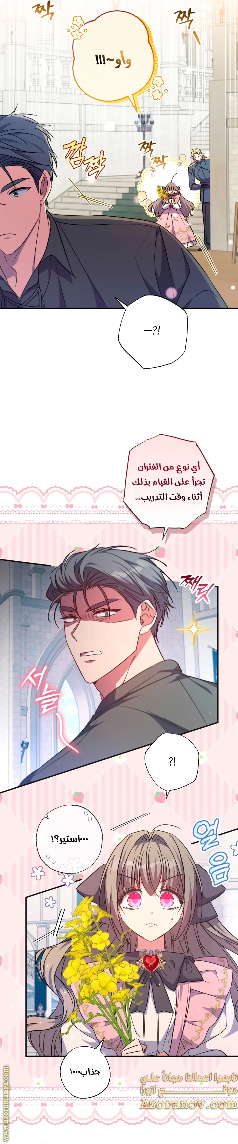 الصفحة 17