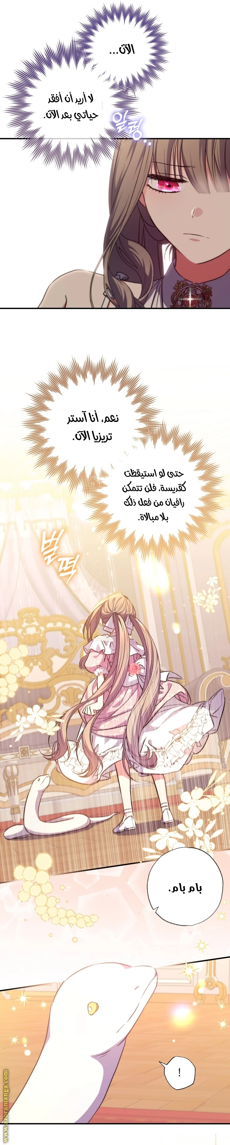 الصفحة 15