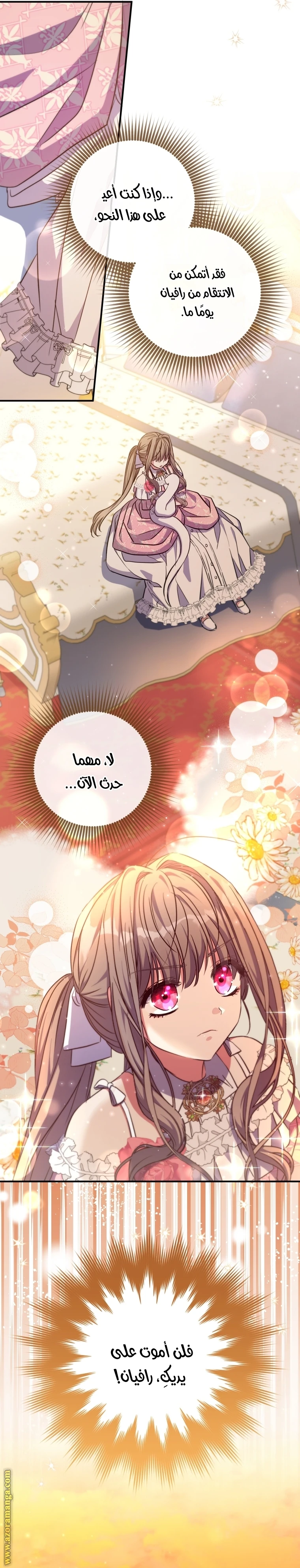 الصفحة 17