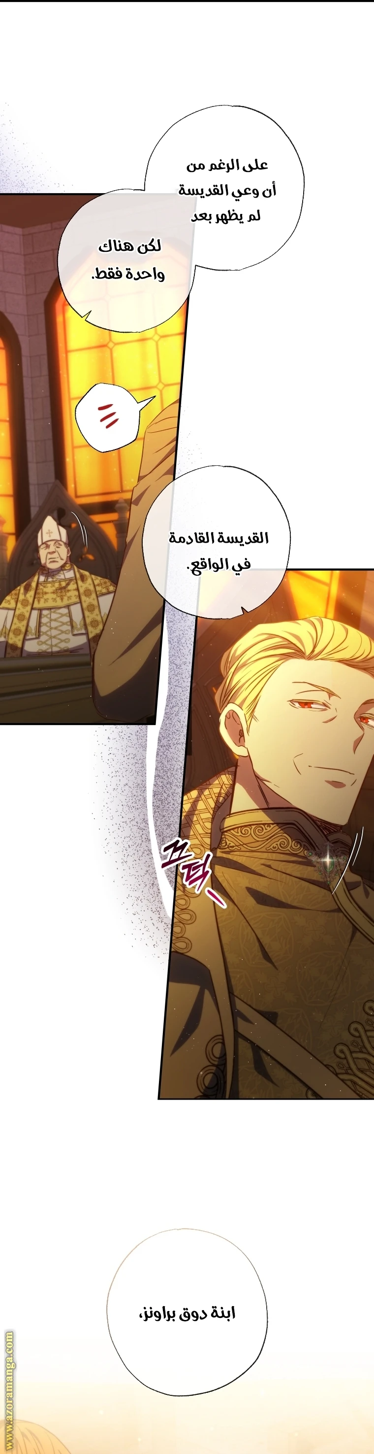 الصفحة 25