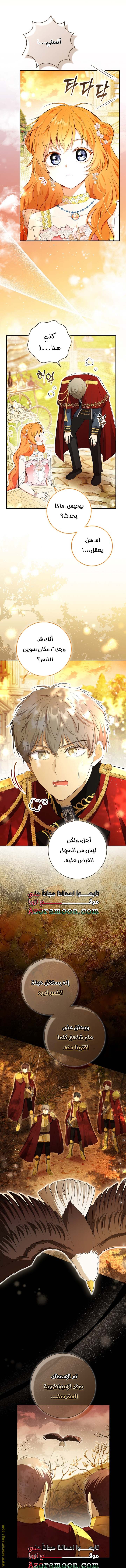 الصفحة 11