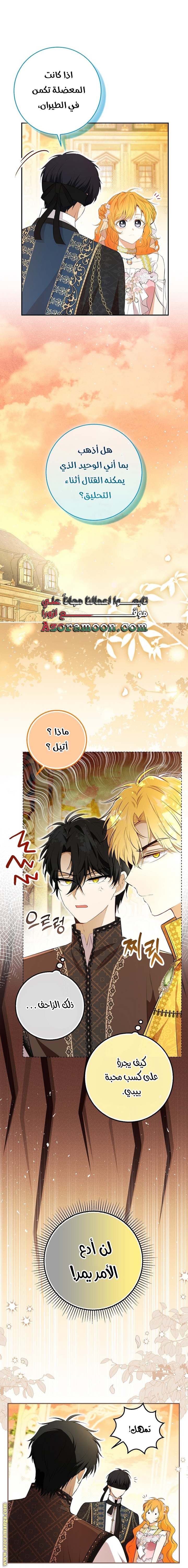 الصفحة 14