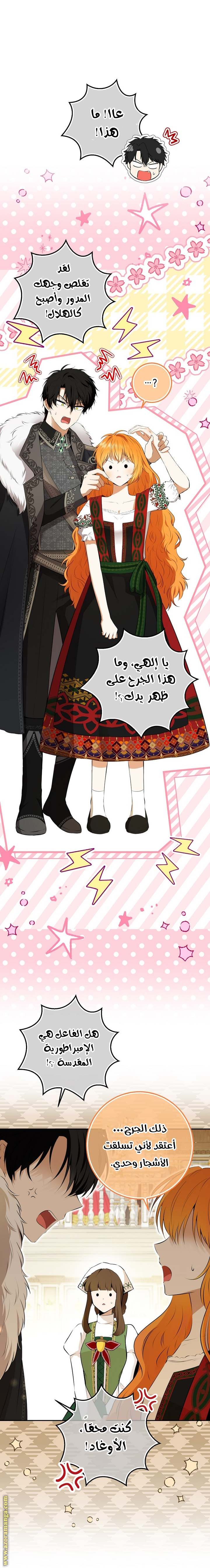 الصفحة 11