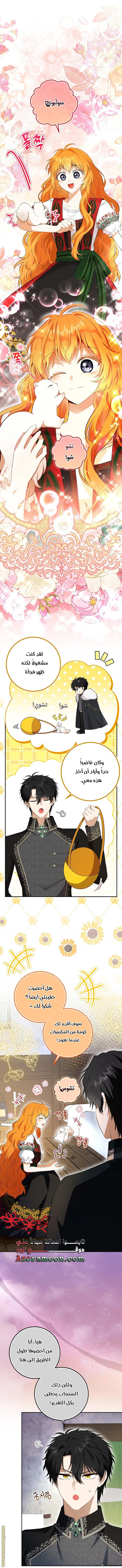 الصفحة 17