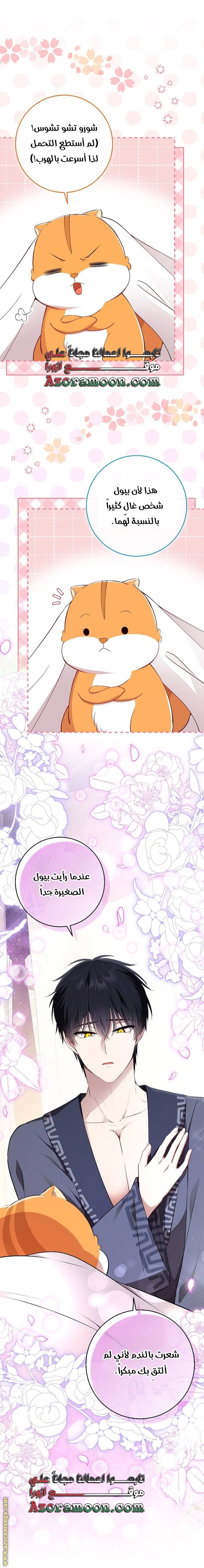 الصفحة 12