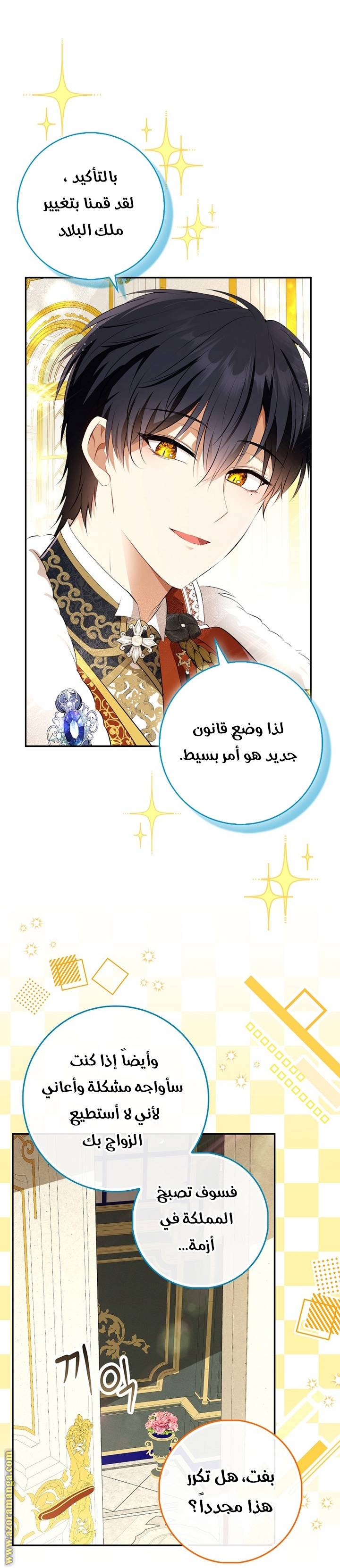 الصفحة 21