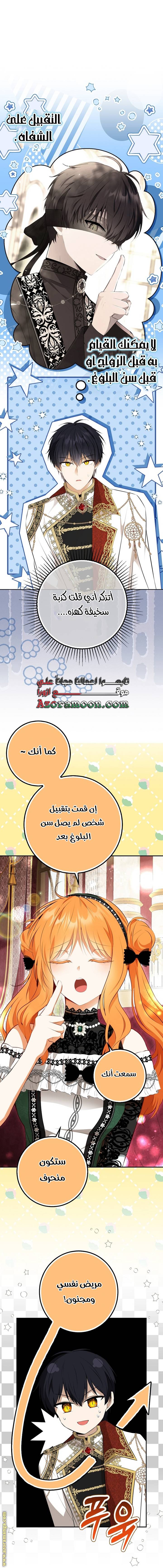 الصفحة 13
