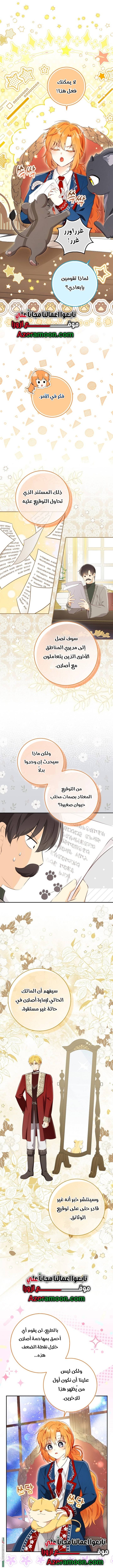 الصفحة 14