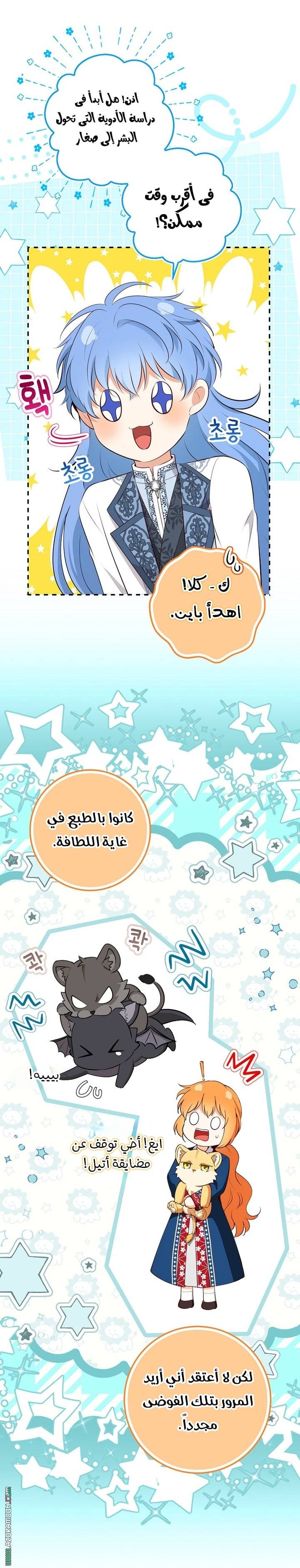 الصفحة 24