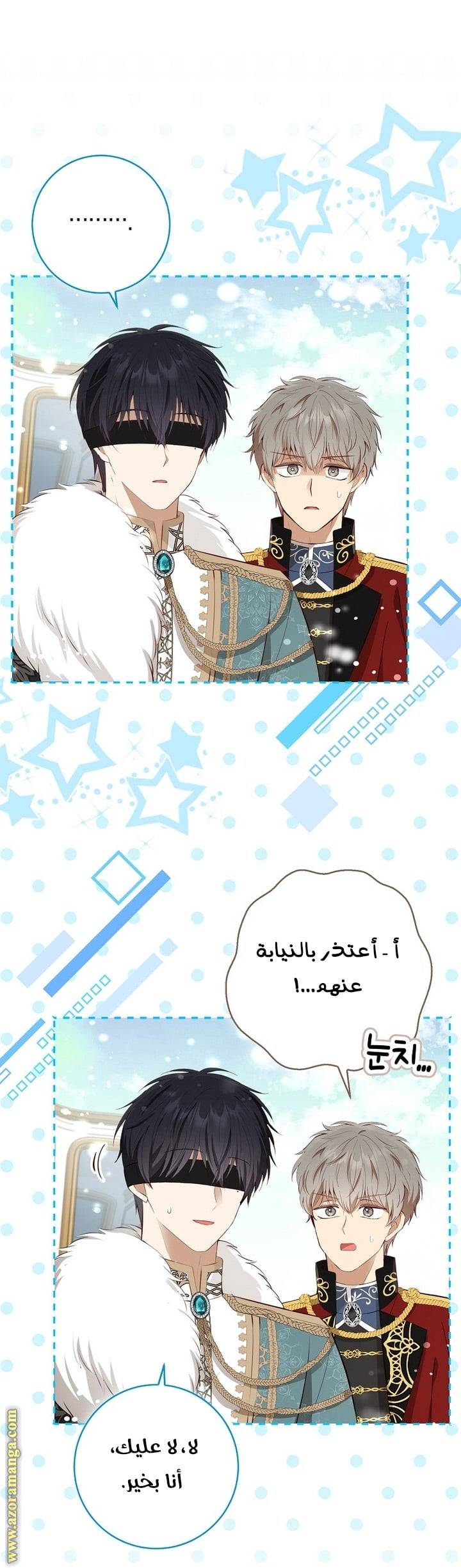 الصفحة 12