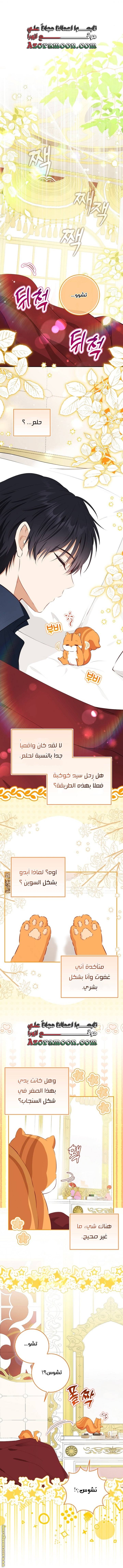 الصفحة 16