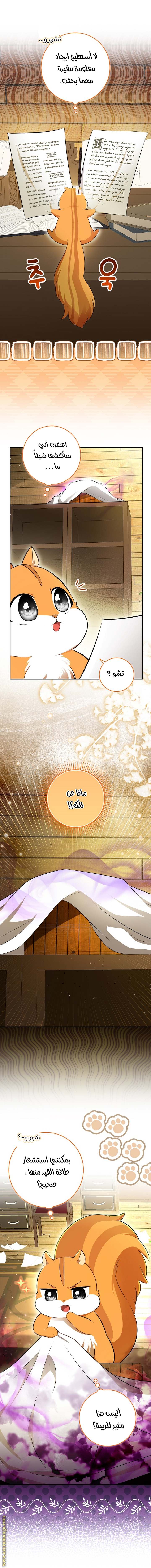 الصفحة 16