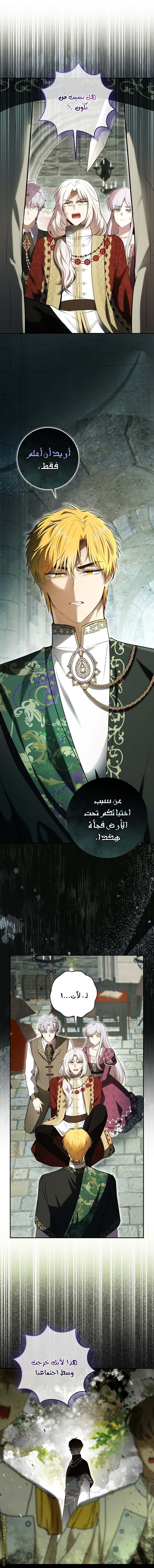 الصفحة 21