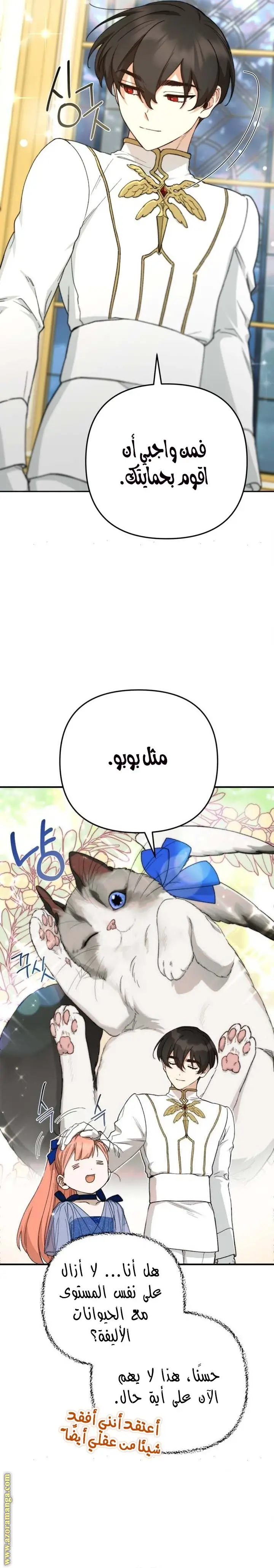 الصفحة 13