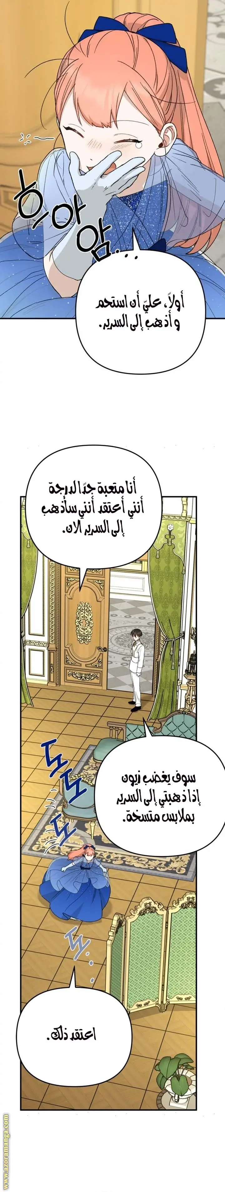 الصفحة 17