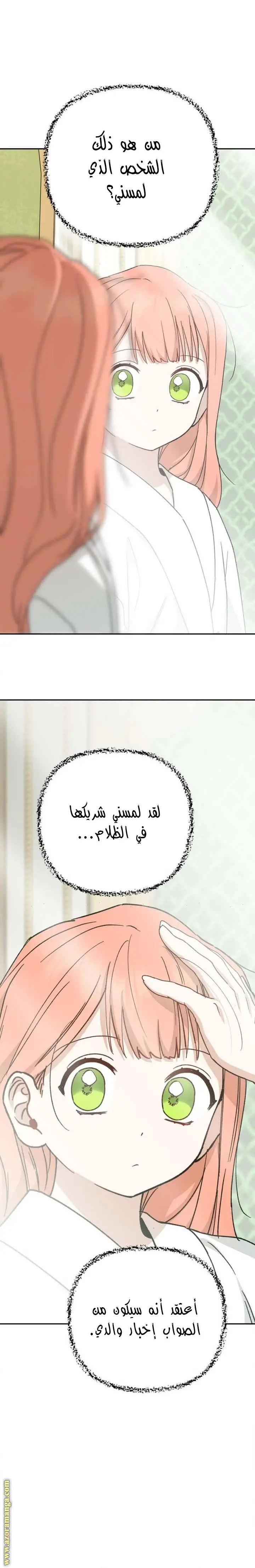 الصفحة 21