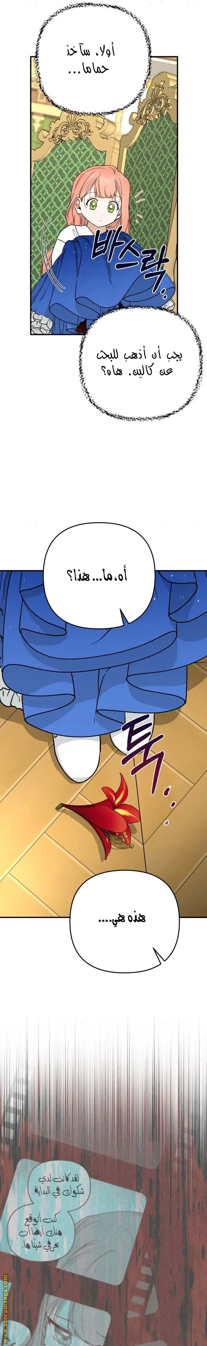 الصفحة 22