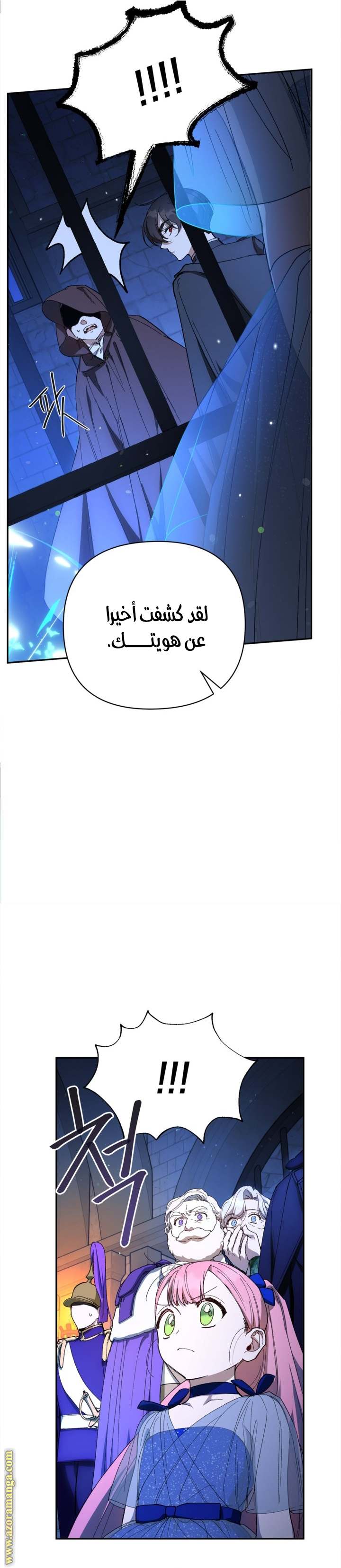 الصفحة 19