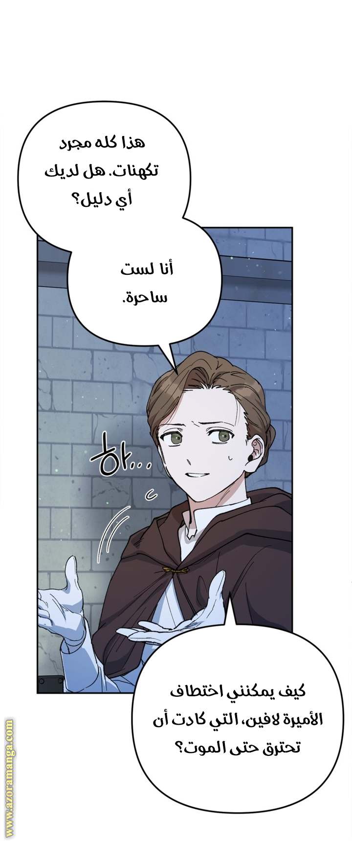 الصفحة 13