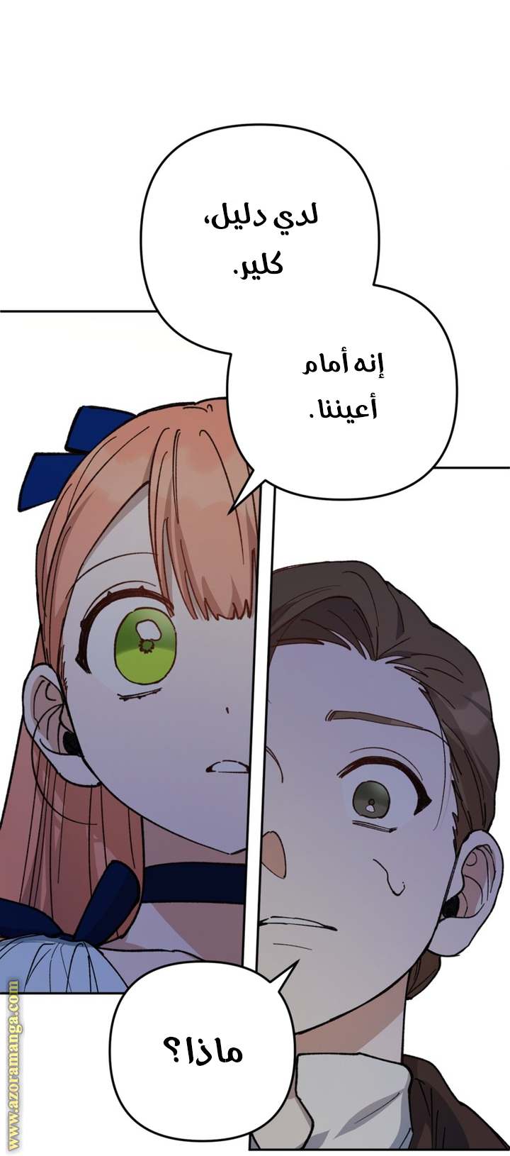 الصفحة 22