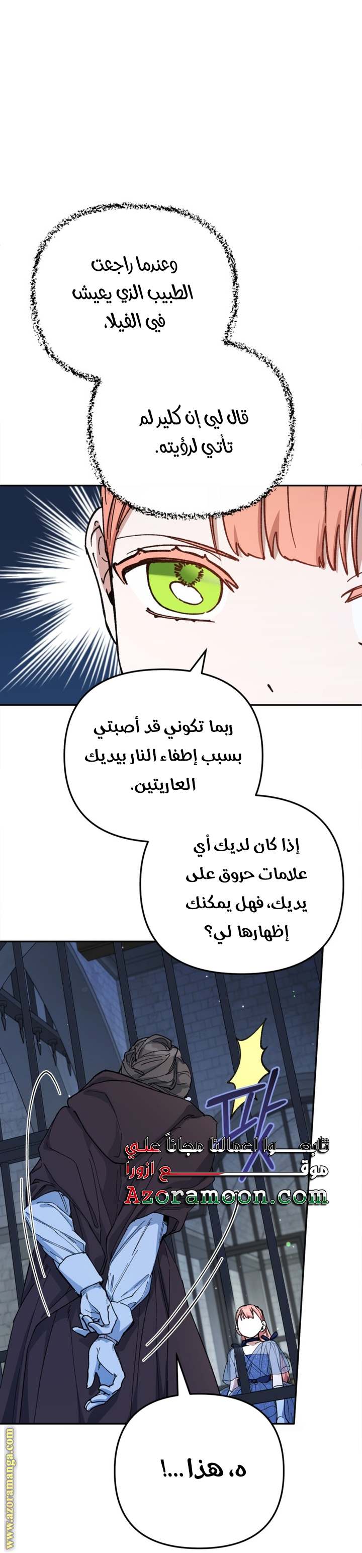الصفحة 25