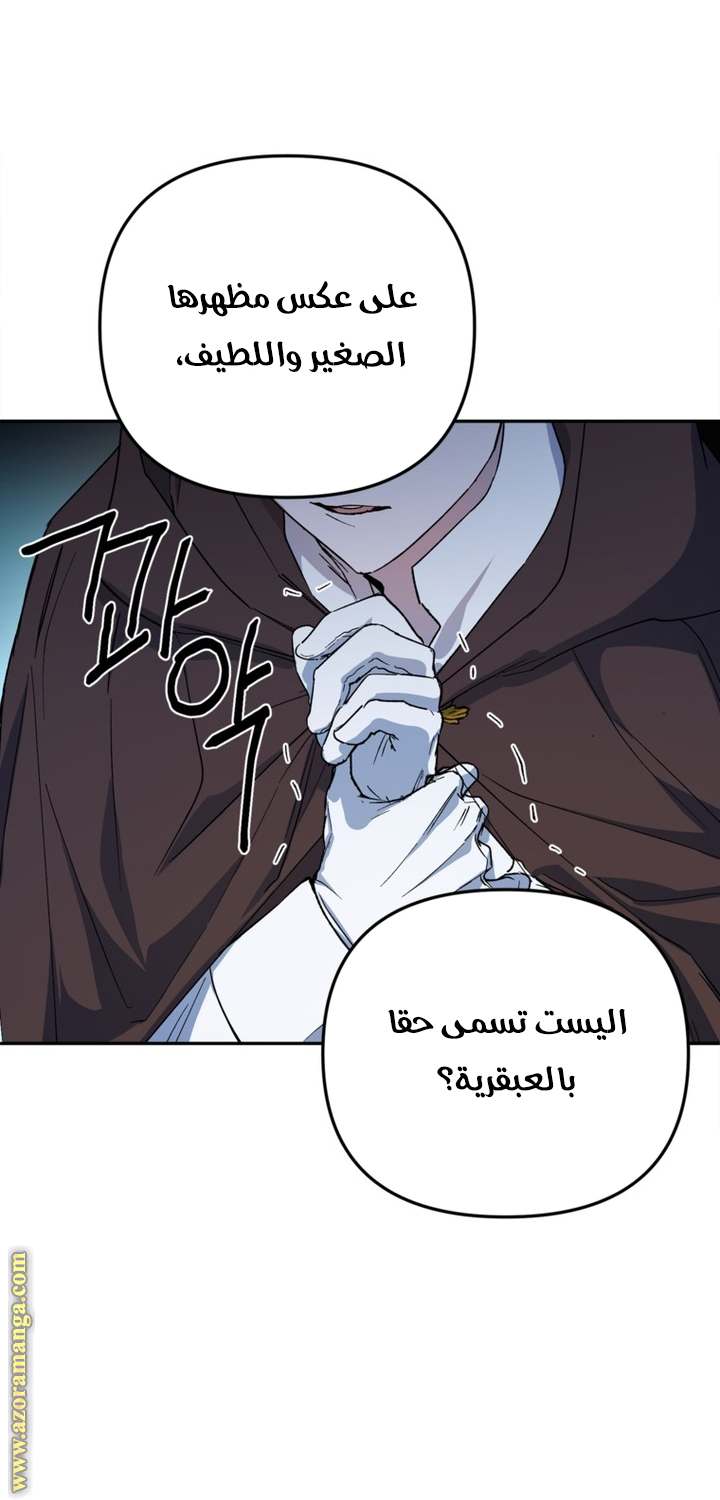 الصفحة 29