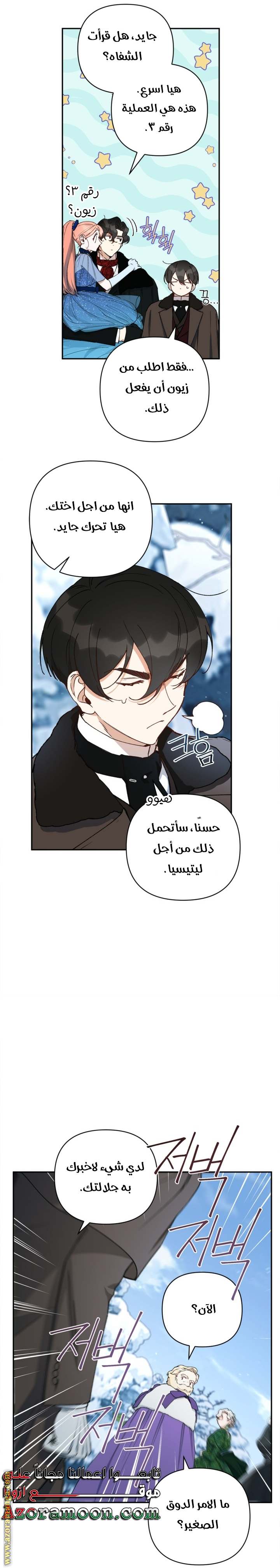 الصفحة 13