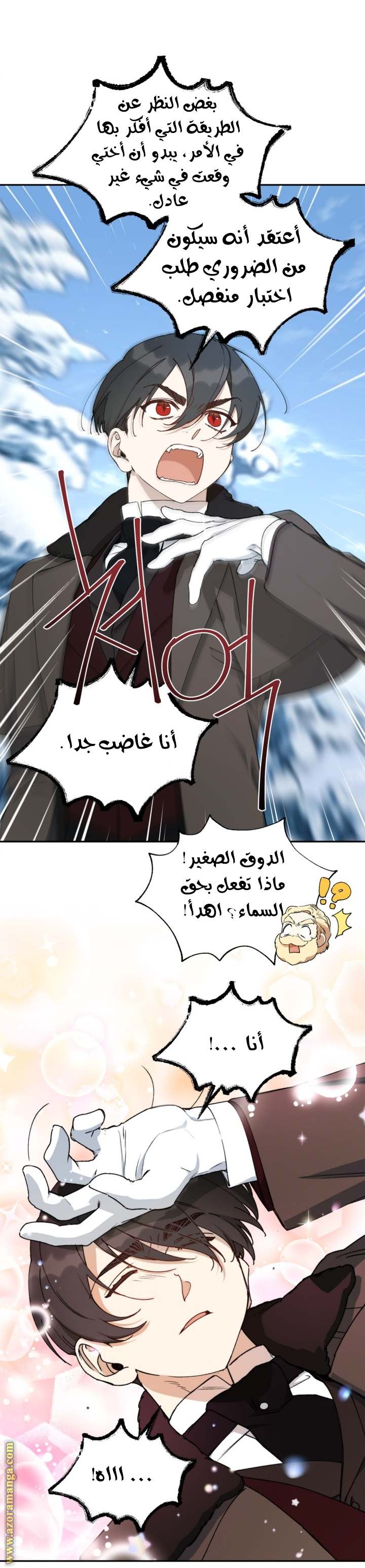 الصفحة 14