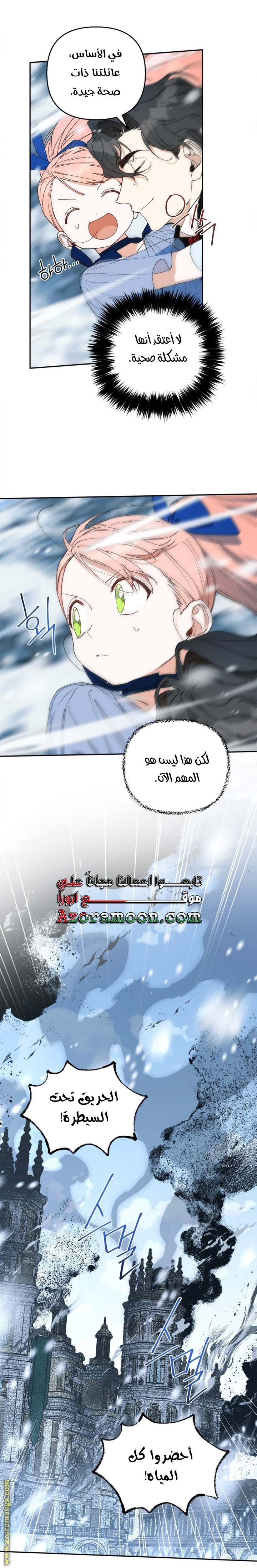 الصفحة 17