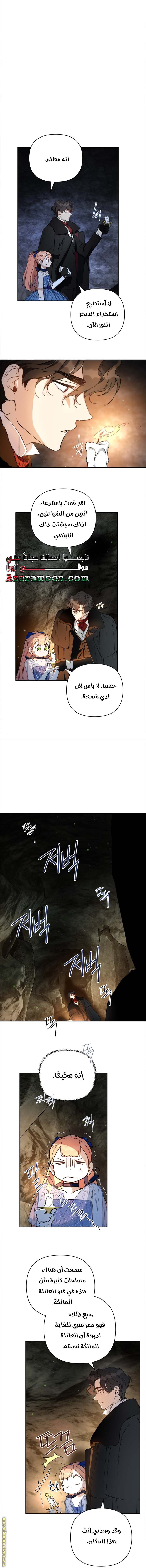 الصفحة 21