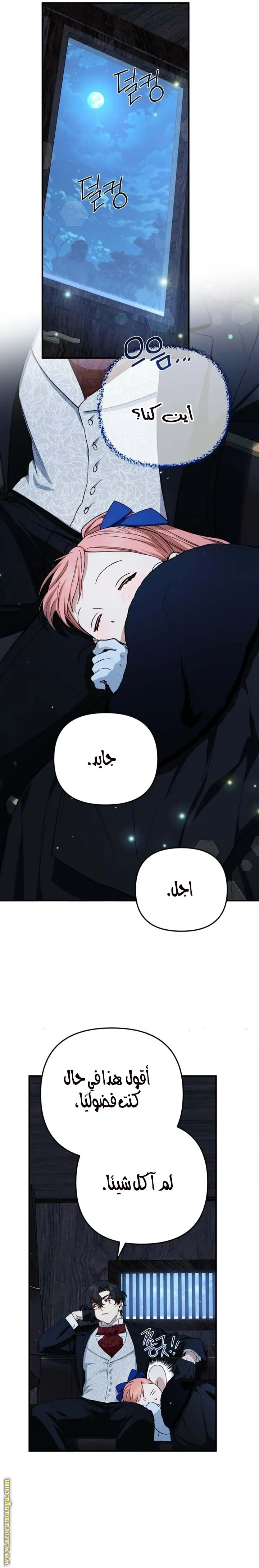 الصفحة 15