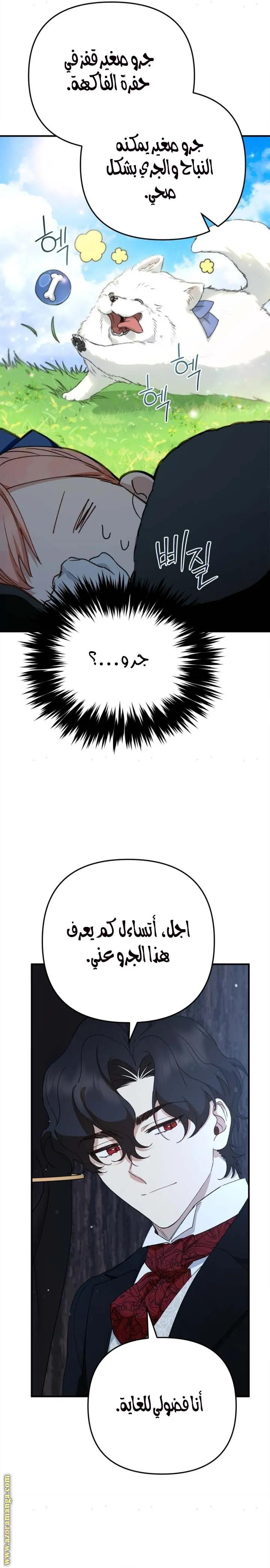 الصفحة 19