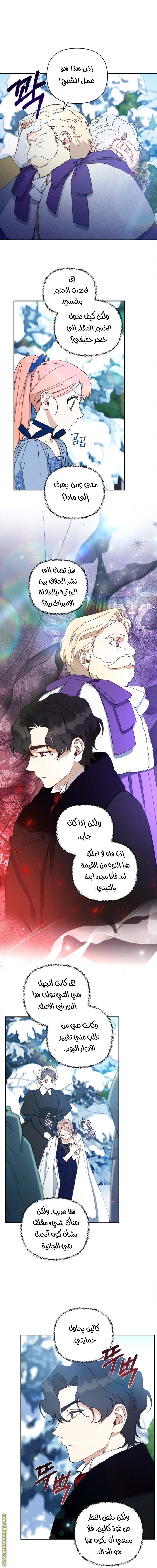 الصفحة 24