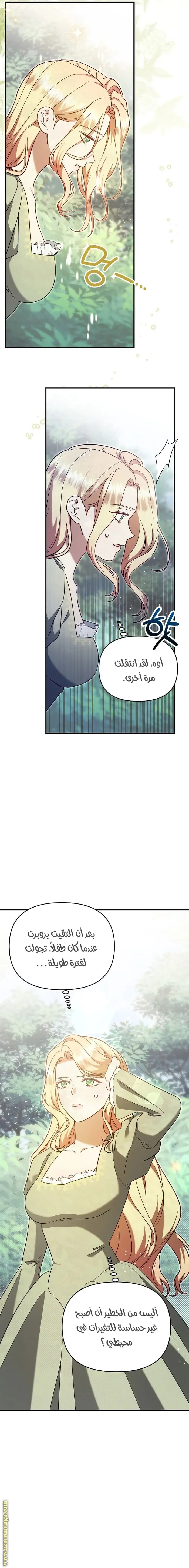 الصفحة 11
