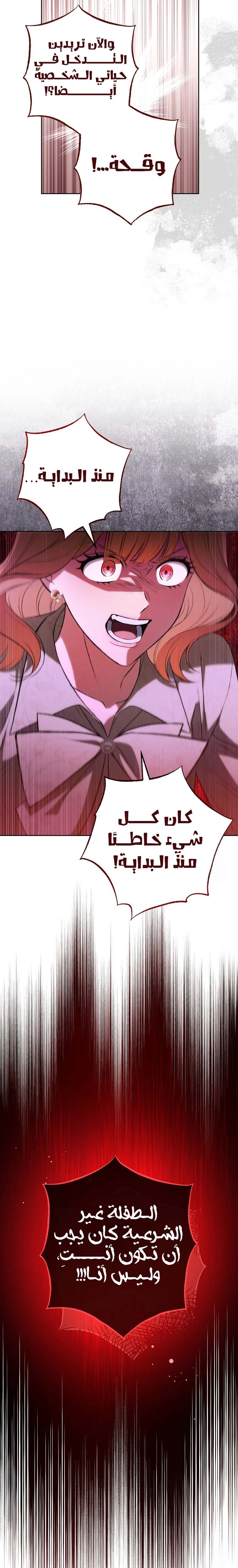 الصفحة 19