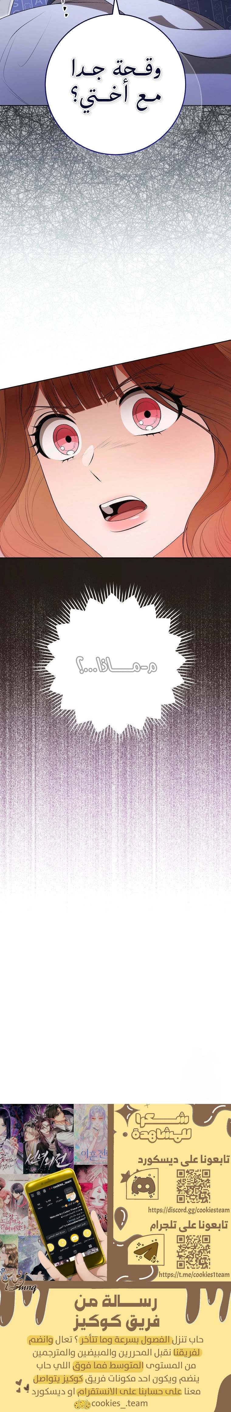الصفحة 25