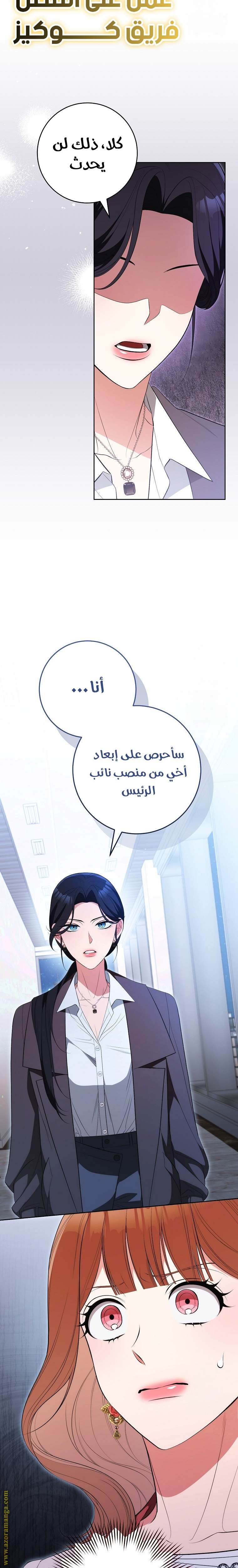 الصفحة 29