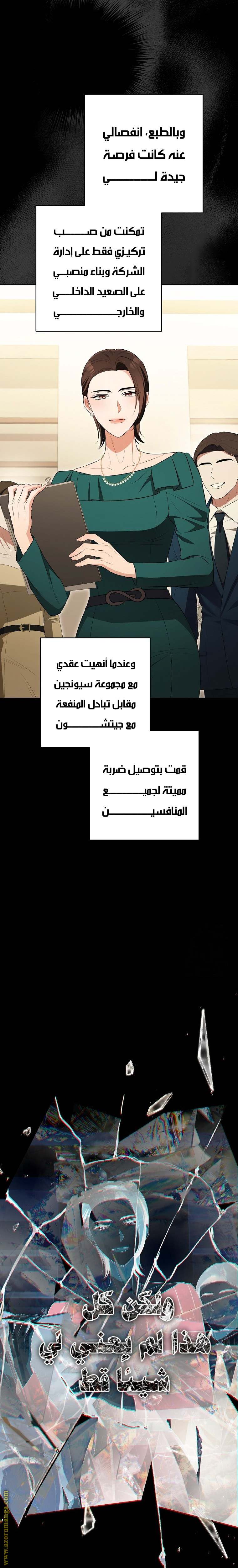 الصفحة 13