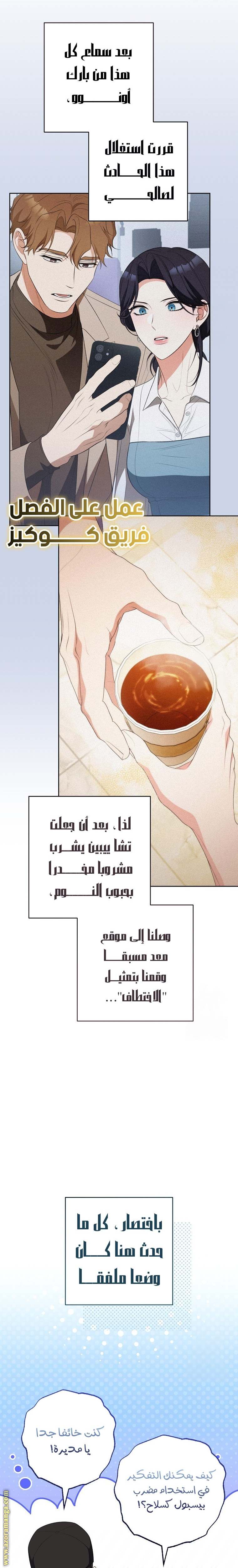 الصفحة 20